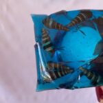 Tree Light candle holders