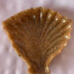 Soap dish shell